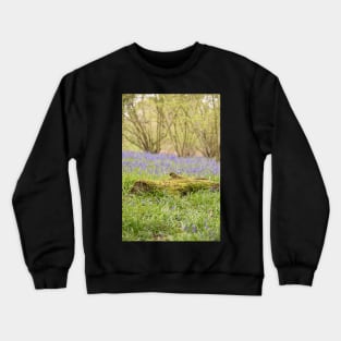 Hillhouse bluebell wood Crewneck Sweatshirt